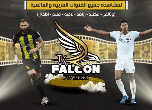 فالكون اقوى اشتراك عربي