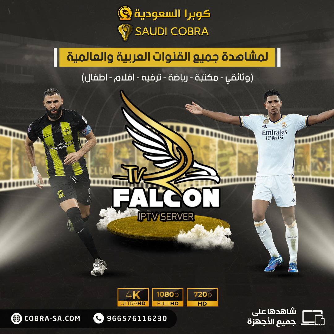 فالكون اقوى اشتراك عربي