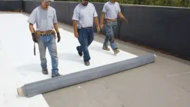 أنواع الفوم