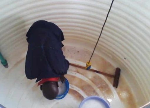 مكافحة الصراصير والنمل بالرياض بأسعار مناسبة