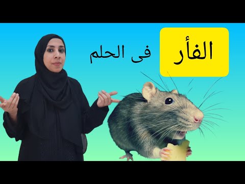 تفسير حلم الفأر فى المنام