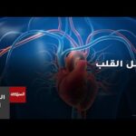 أبرز الأسباب التي تؤدي إلى فشل القلب