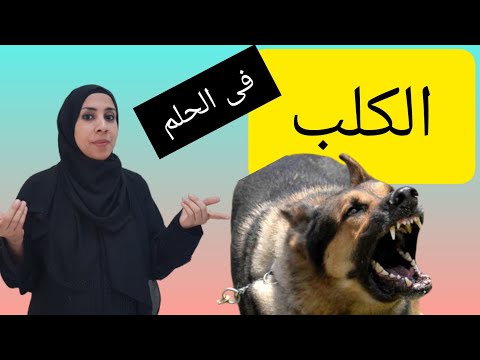 تفسير حلم الكلب فى المنام , تفسير رؤية الكلب فى الحلم