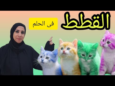 تفسير حلم القطه فى المنام , تفسير رؤية القطط فى الحلم